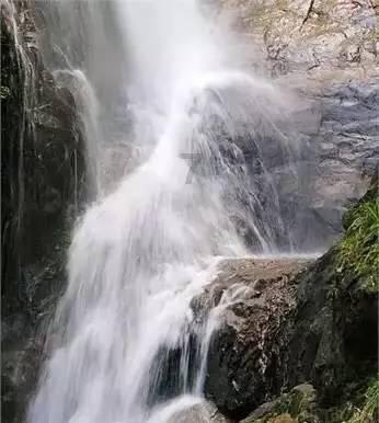 探寻绿牛他趣视频免费下载，发现无限思想火花
